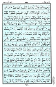 Quran Para 20 – A’man Khalaq (أَمَّنْ خَلَقَ) — page 16