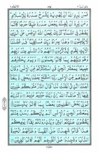 Quran Para 8 – Wa Lau Annana (وَلَوْ أَنَّنَا) — page 3