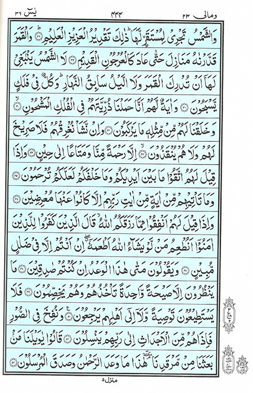 Surah Yaseen Yasin Read Quran Surah Yasin Ø³ÙˆØ±Ø© ÙŠØ³ Online