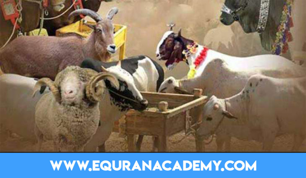 Origin and Importance of Eid ul Azha